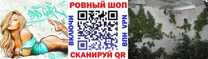 Канабис Енисейск