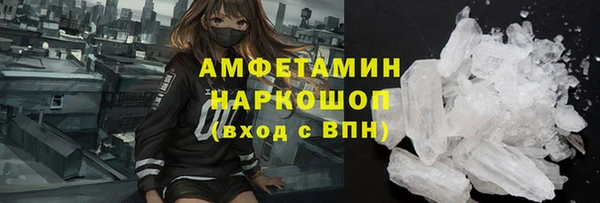 прущие грибы Алзамай
