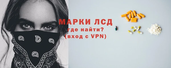 прущие грибы Алзамай