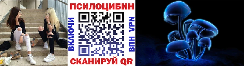 Псилоцибиновые грибы мицелий  Енисейск 